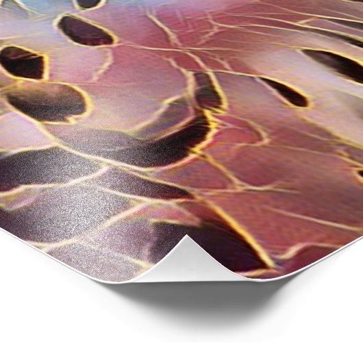 OWL FOTO AFDRUK (Hoek)