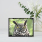 Owl Foto Briefkaart (Staand voorkant)
