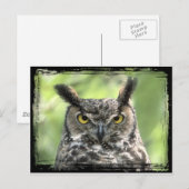 Owl Foto Briefkaart (Voorkant / Achterkant)