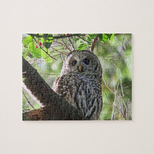Owl Foto Legpuzzel (Horizontaal)