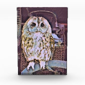 OWL FOTOBLOKKEN (Voorkant)