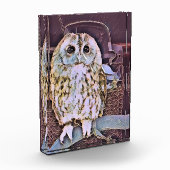 OWL FOTOBLOKKEN (Links)