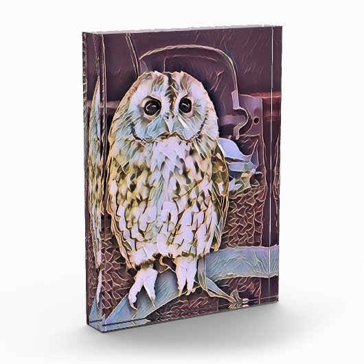 OWL FOTOBLOKKEN (Links)