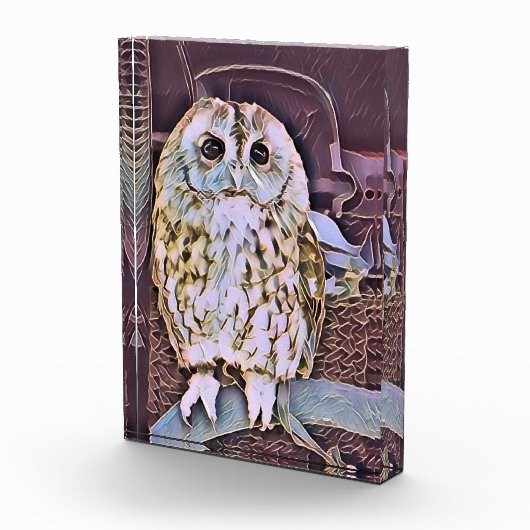 OWL FOTOBLOKKEN (Rechts)