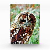 OWL FOTOBLOKKEN (Voorkant)