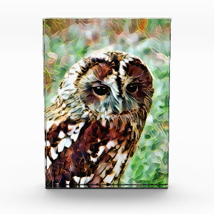 OWL FOTOBLOKKEN