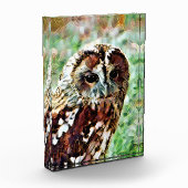 OWL FOTOBLOKKEN (Links)