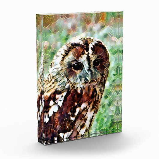 OWL FOTOBLOKKEN (Links)