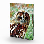 OWL FOTOBLOKKEN (Rechts)