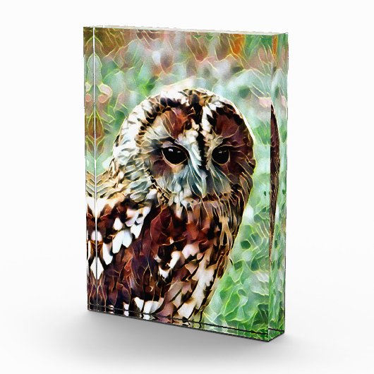 OWL FOTOBLOKKEN (Rechts)