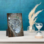 Owl Fotoplaat (Zijkant)