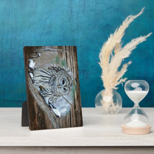 Owl Fotoplaat (Zijkant)
