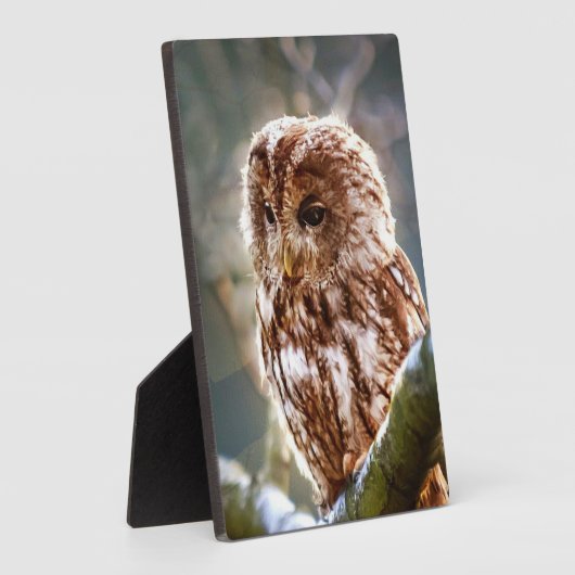 Owl Fotoplaat (Zijkant)