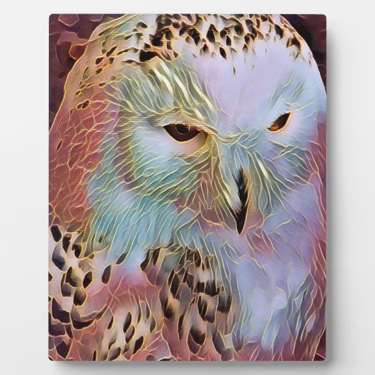 OWL FOTOPLAAT (Voorkant)