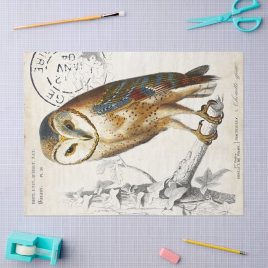 Owl Franse poststempel Tissuepapier (Craft)
