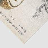 Owl Franse poststempel Tissuepapier (Detail)