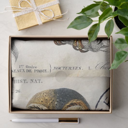 Owl  Franse poststempel Tissuepapier (Geschenk)