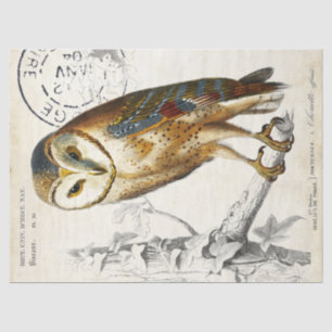 Owl Franse poststempel Tissuepapier
