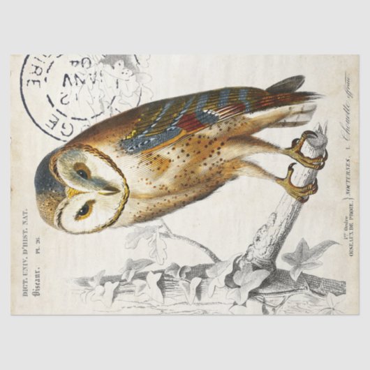 Owl Franse poststempel Tissuepapier (Voorkant)