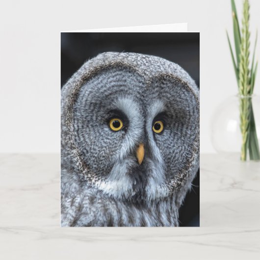 OWL FUNNY CUTE BIRTHDAY KAART (Voorkant)