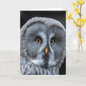 OWL FUNNY CUTE BIRTHDAY KAART (Gele Bloem)