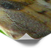 Owl geeft een handschoen poster (Hoek)