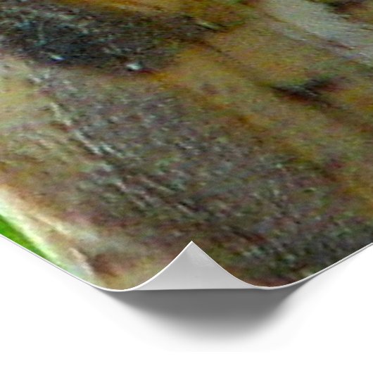 Owl geeft een handschoen poster (Hoek)