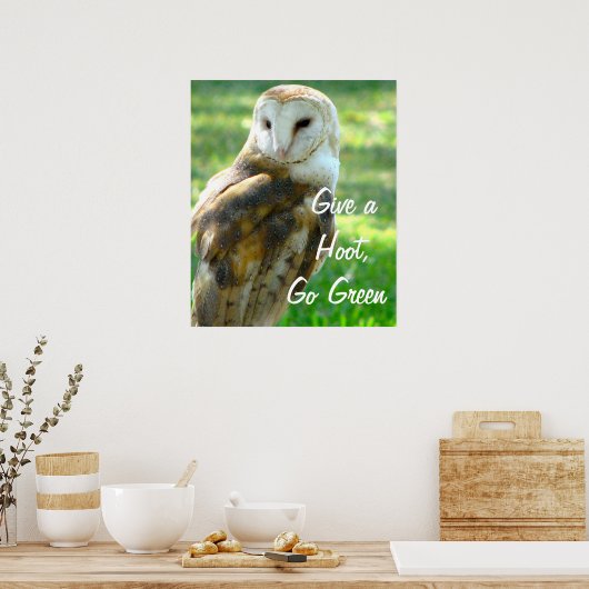 Owl geeft een handschoen poster (Keuken)