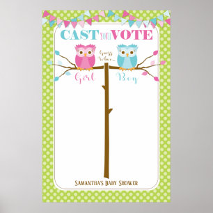 Owl Gender onthullen Baby shower stemspel Poster