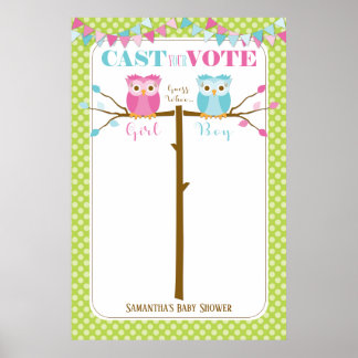 Owl Gender onthullen Baby shower stemspel Poster