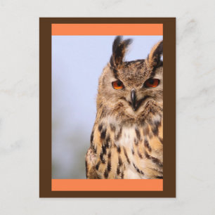 Owl glimlachen Briefkaart
