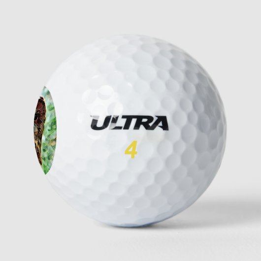 OWL GOLFBALLEN (Logo)