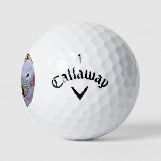 OWL GOLFBALLEN (Logo)