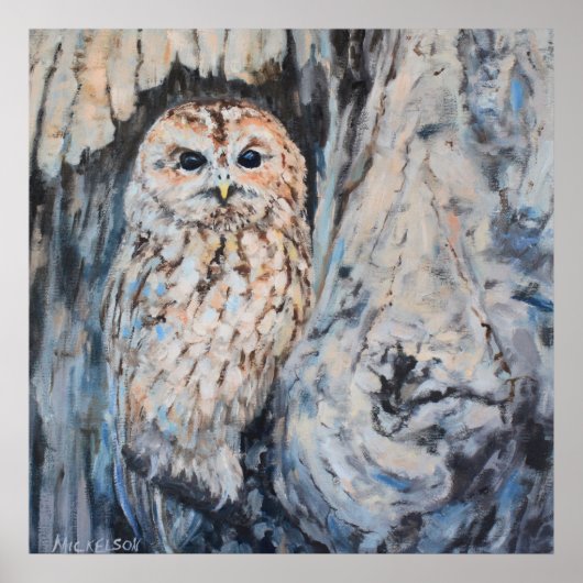 Owl Hideout Fine Art Print (Voorkant)