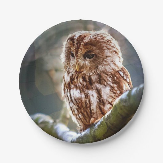 Owl Hoo Papieren Bordje (Voorkant)