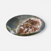Owl Hoo Papieren Bordje (Gekanteld)