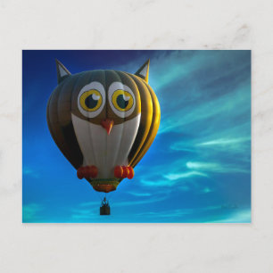 Owl Hot Air Ballon Briefkaart