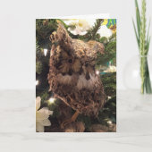 "OWL HOUDT ALTIJD VAN JE" CHRISTMAS OWL FEESTDAGEN KAART (Voorkant)