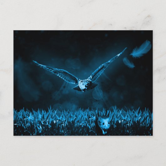 Owl Hunt Fantasy Night Briefkaart (Voorkant)