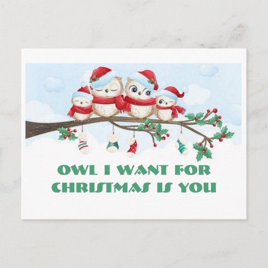 Owl ik wil voor Kerstmis Briefkaart (Voorkant)