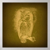  Owl Illustratie Antiek Bird Art Green Poster (Voorkant)