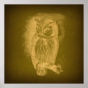 Owl Illustratie Antiek Bird Art Green Poster