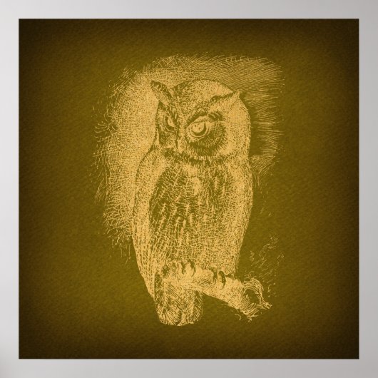  Owl Illustratie Antiek Bird Art Green Poster (Voorkant)