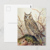  Owl Illustratie Briefkaart (Voorkant / Achterkant)