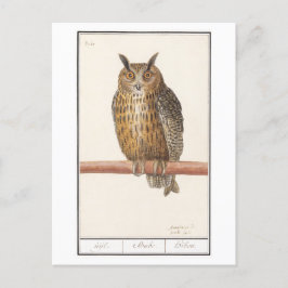 Owl Illustratie Briefkaart