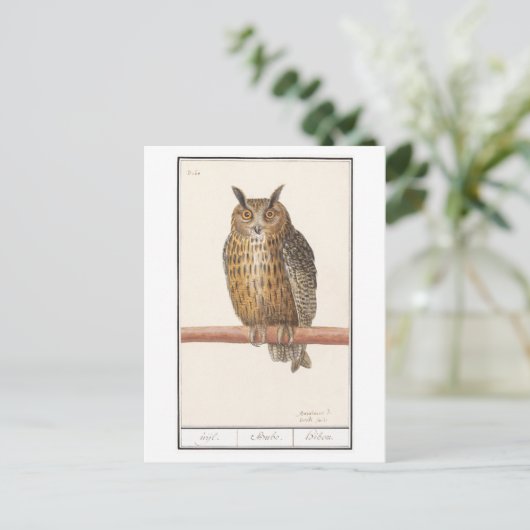 Owl Illustratie Briefkaart (Staand voorkant)
