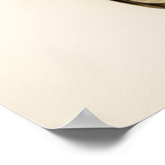  Owl Illustratie Poster (Hoek)