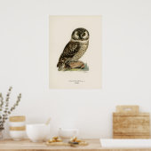 Owl Illustratie Poster (Keuken)