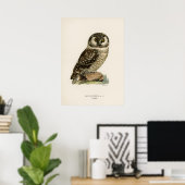 Owl Illustratie Poster (Thuiskantoor)