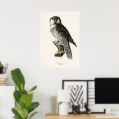 Owl Illustratie Poster (Thuiskantoor)